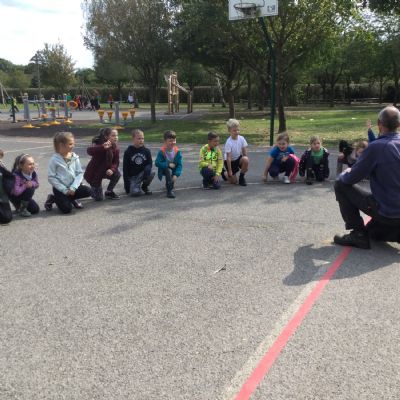 Chaffinch class FOREST SCHOOLS SESSIONS 2020